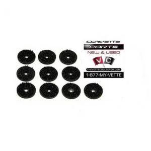 78-82 Corvette T-Top Pad Fastener Kit- 10pc